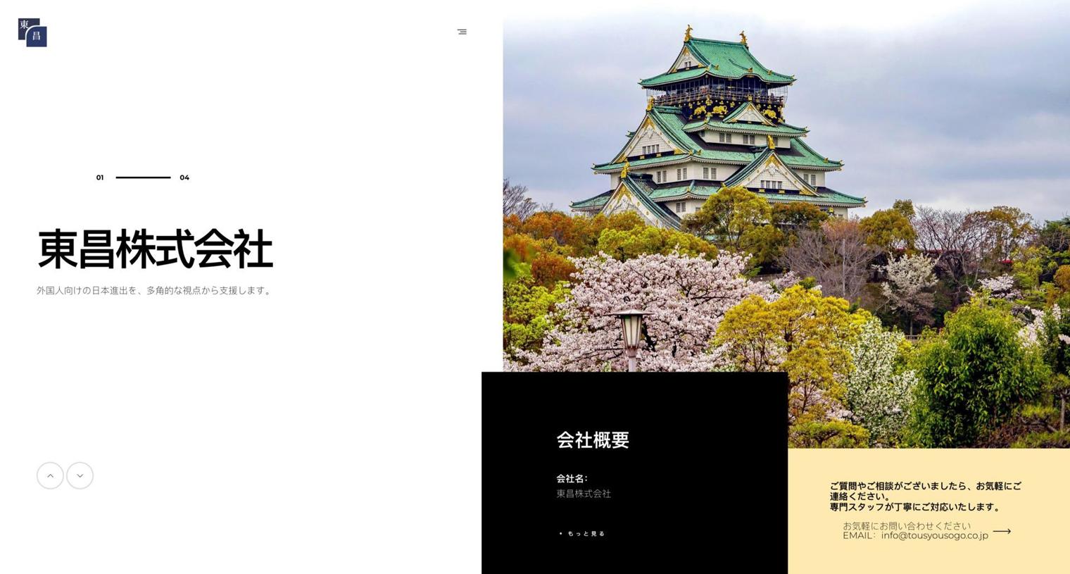 项目背景